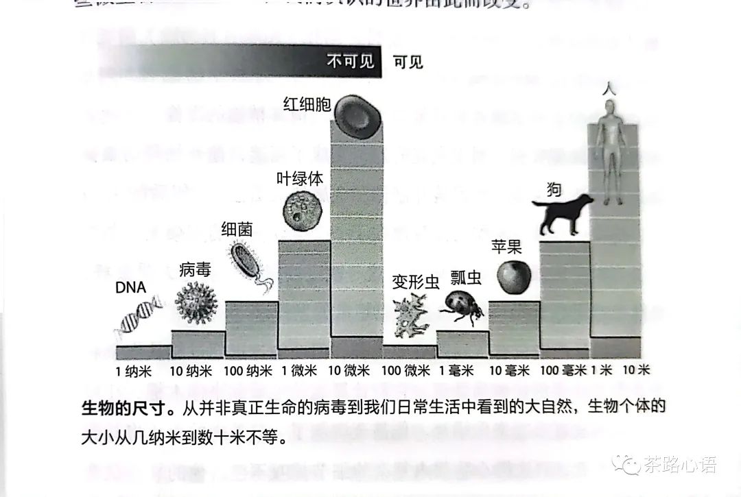 核废料好吃吗_核废料能干嘛_吃核废料为生的人