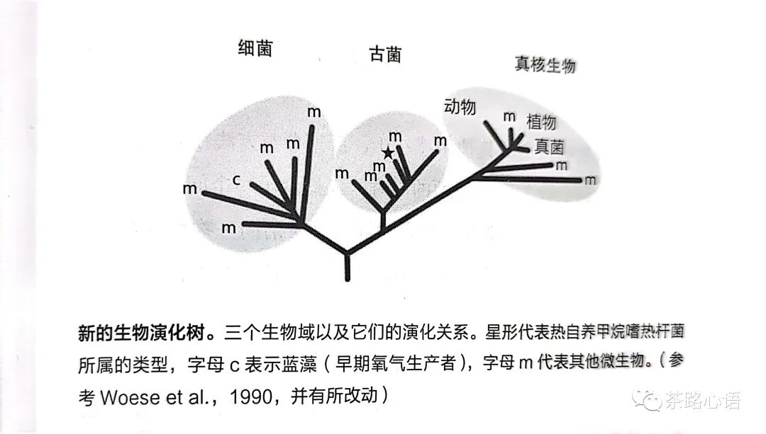 核废料好吃吗_吃核废料为生的人_核废料能干嘛