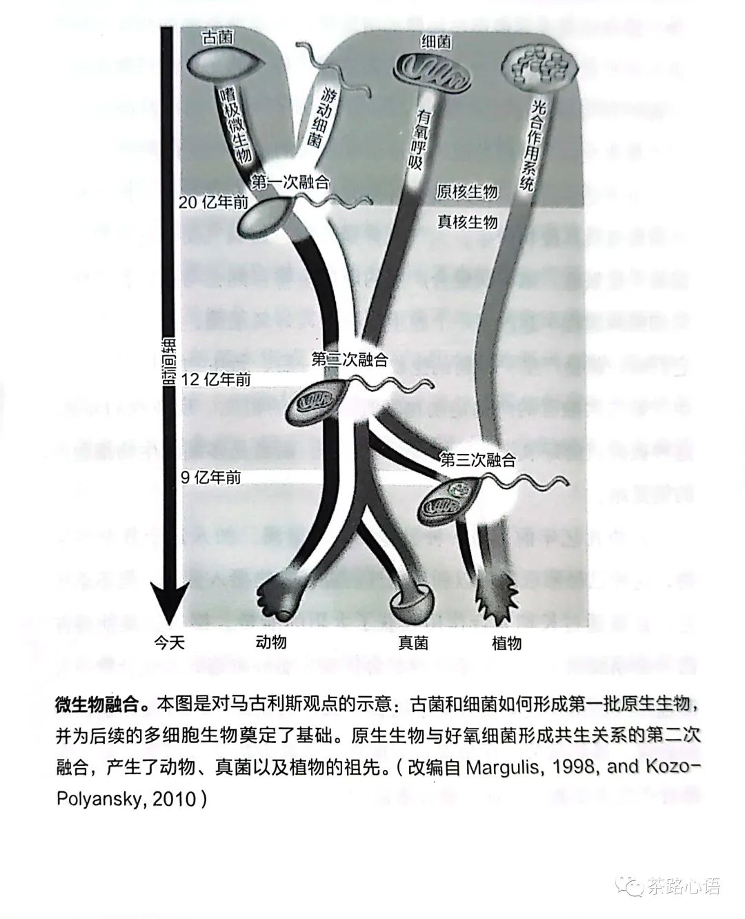 吃核废料为生的人_核废料能干嘛_核废料好吃吗